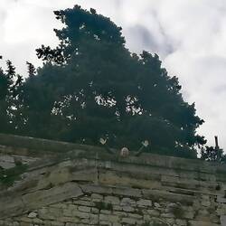 Sven schon Richtung Aussicht