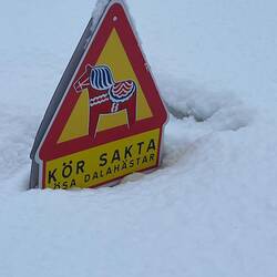 In Leksand - bitte langsam fahren!