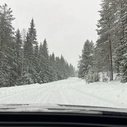 Geschlossene Schneedecke auf den ersten Kilometern