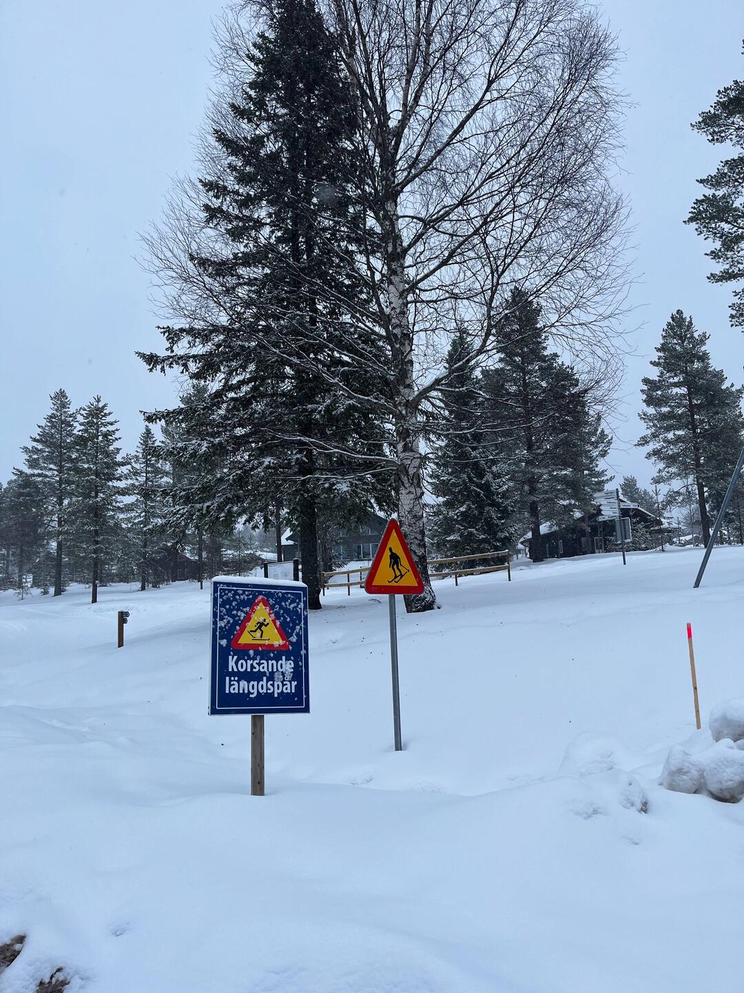 Auf Wiedersehen Langlaufloipe