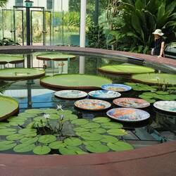 Absolute Perfektion / Absolute perfection