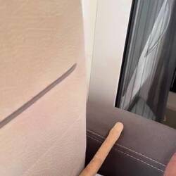 Die Schafe kommen mich besuchen! 😅