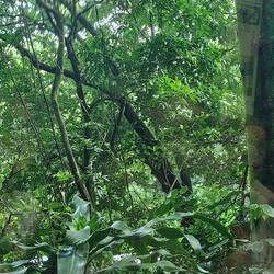 Wie durch das Gartencenter