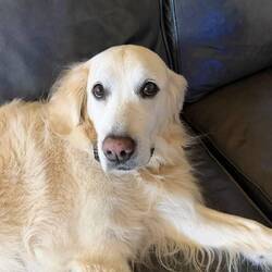 SMILING when we won!