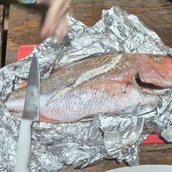 Der Red Snapper sieht etwas kleiner aus