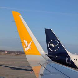 Fast ein fliegendes Einhorn 😂