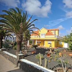 Vom Winde verweht 😂🌬