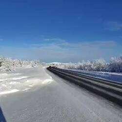 Von Dirk eingefangen.