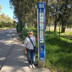 Mit der Buslinie 5 vom Golfplatz ⛳️ geht es nach Malaga.