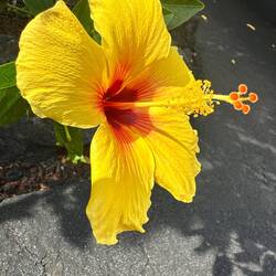 Vor der Haustüre... 😍