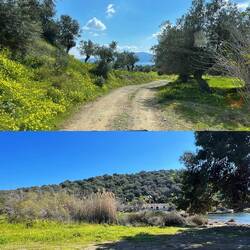 ..ein abgelegener Ort.Nur drei weitere Camper genießen hier auch noch die Idylle🍀😇🚐🌳🚐🪾🚐🏕️