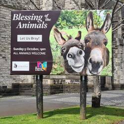 Tiere dürfen in die Kirche und sich segnen lassen