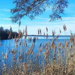 Hier fließt der Hagenburger Kanal ins Steinhuder Meer
