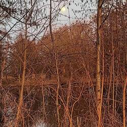 ....und der Mond geht auf.