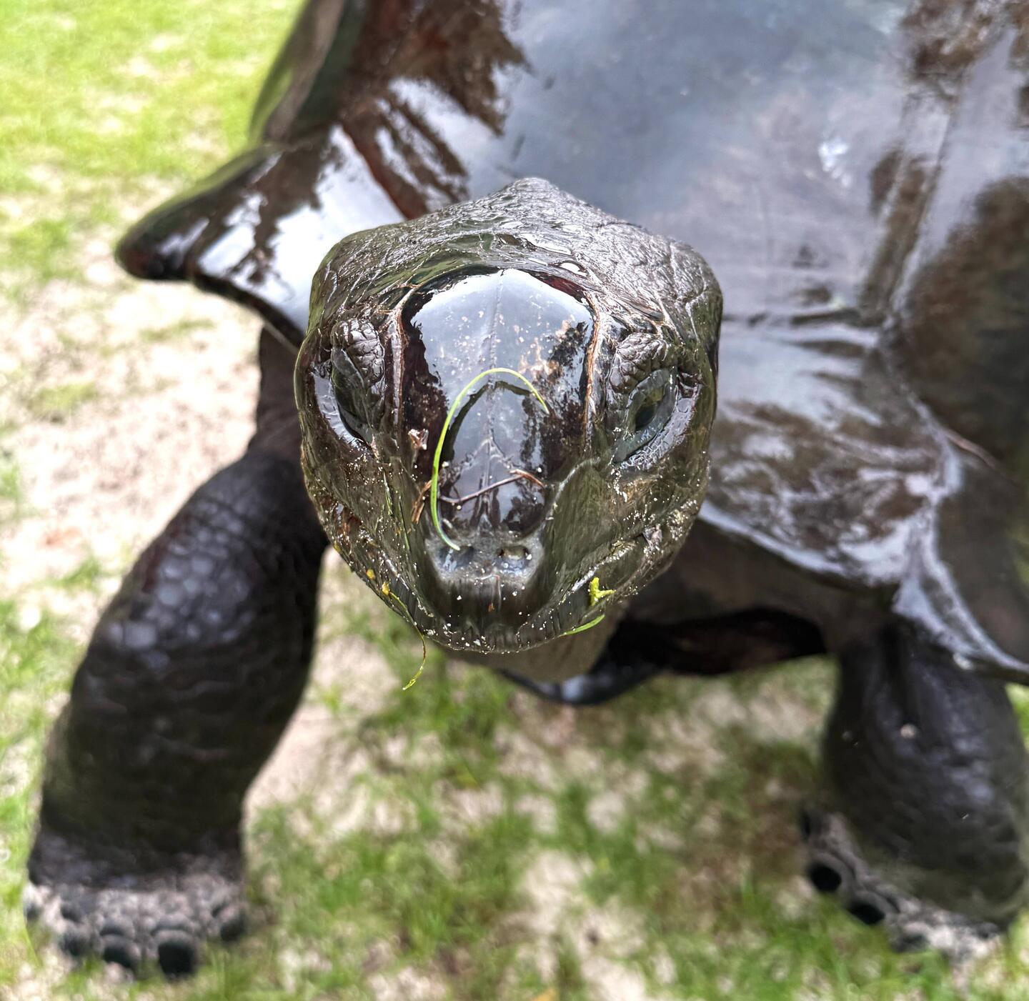 Här är vad ön är känd för!