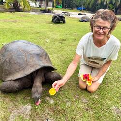 Överbliven frukt och grönt fick vi ge till djuren på ön