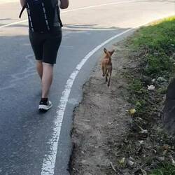 Kleine Wanderung mit professionellem Guide 🤎🐕