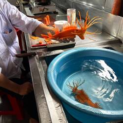 Crew carving dramatic food decorations