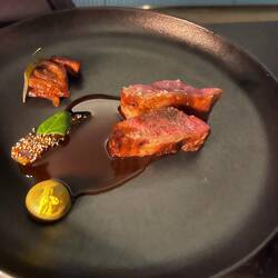 Lamb, braised lamb, jus, parsnip puree