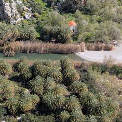 Der zweitgrößte Palmenwald Kreta's.