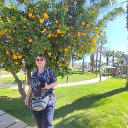 Eine wirklich schöne Gartenanlage