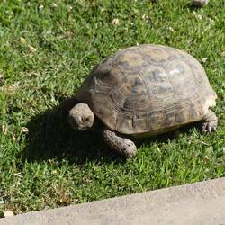 Die ging hier auch spazieren.... 😉