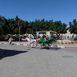 Es gibt jede Menge Pferdekutschen