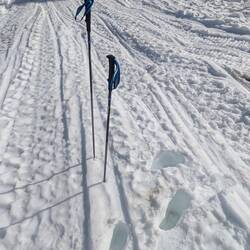 I need snow shoes, this isn't working!