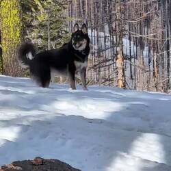 Oh, so glad I found snow for her