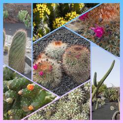 Die Vielfalt und Größe sind beeindruckend