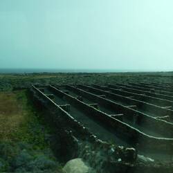 Gärten und Felder werden durch Mauern aus Lava-Gestein vor Wind geschützt
