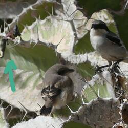 Ohne weitere Worte....