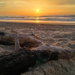 Das Warten hat sich gelohnt 😁