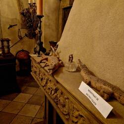 Ab hie isch Alchemiemuseum, dert hets so flasks und usgstopfti Tier gha