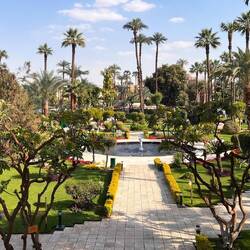 Wunderschöner Garten