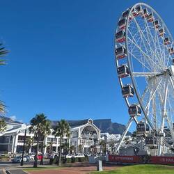 Cape Wheel