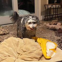 Kali - unsere Gastgeberin