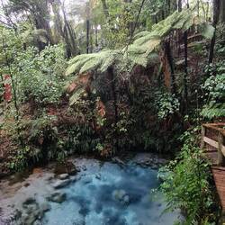 Was für eine strahlende Farbe