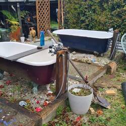 Eine von diesen kommt ins neue Bad