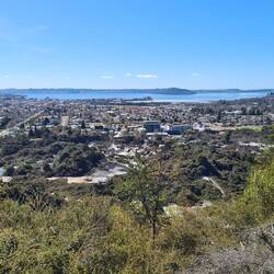 Blick über Rotorua