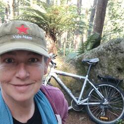 Mit dem Rad im Redwood Forest