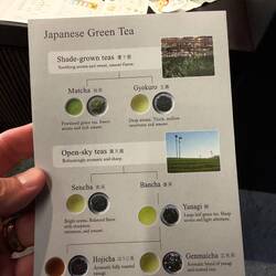 I can't keep all this straight. I've had so many different flavors of tea in the last two weeks.