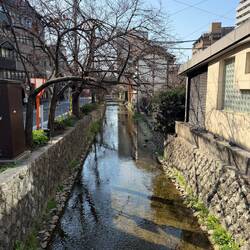 Beautiful streets and area - absolutely gorgeous day!