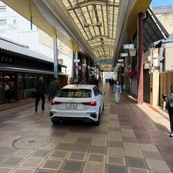 Kathy, this is why I'm not going to drive in Japan! I don't think this is a "car" road!