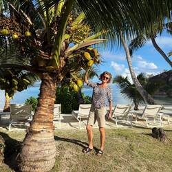 Här kan man plocka dagens lunch från träden