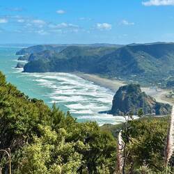 Piha beach