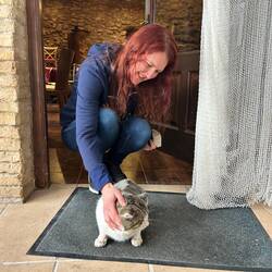 Und Zisi findet sofort Freunde (Kater Ferdinand)