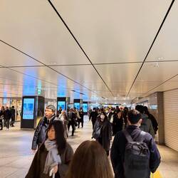 This picture doesn't do it justice, but DO NOT get lost in Tokyo Station