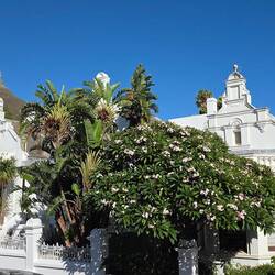 Lions Head im Hintergrund