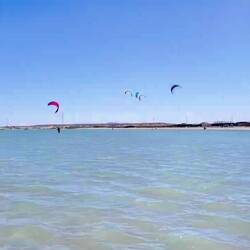 Auf zu den Mangroven